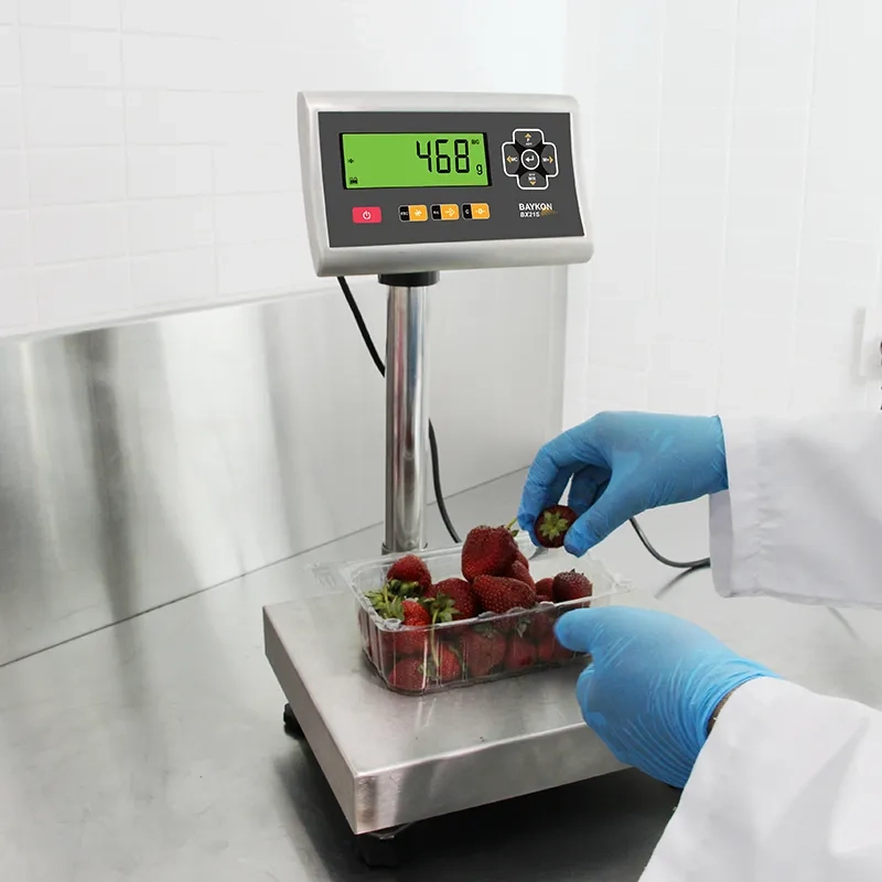 Paketleme ve Porsiyon Terazileri